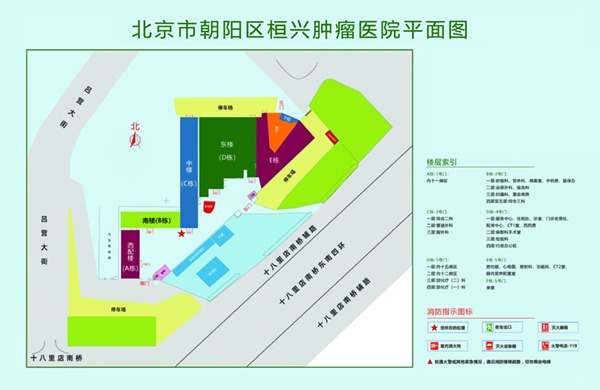 鸡鸡好痒啊，姐姐舔舔北京市朝阳区桓兴肿瘤医院平面图